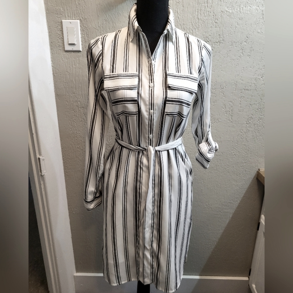 Express The City Shirt Striped Belted Shirt Dress